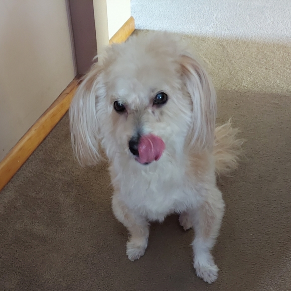 Meet your Posher, V - Picture 6 of 6